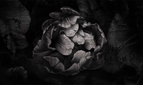 00