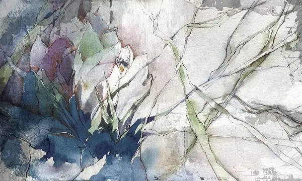 Sketch — wzór z bliska
