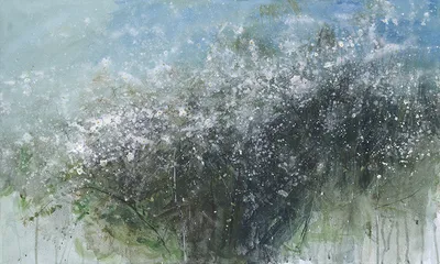 Sparks — wzór z bliska