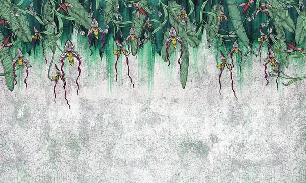 Vanda — wzór z bliska