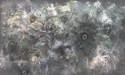 Vortex — wzór z bliska