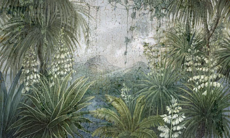 Yucca 3