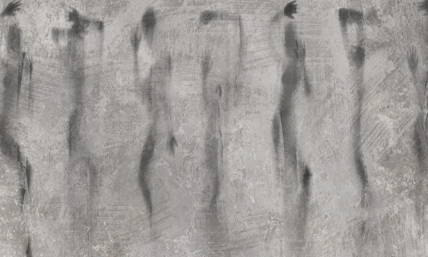 Shadow Figures — Detal — za liściem monstery
